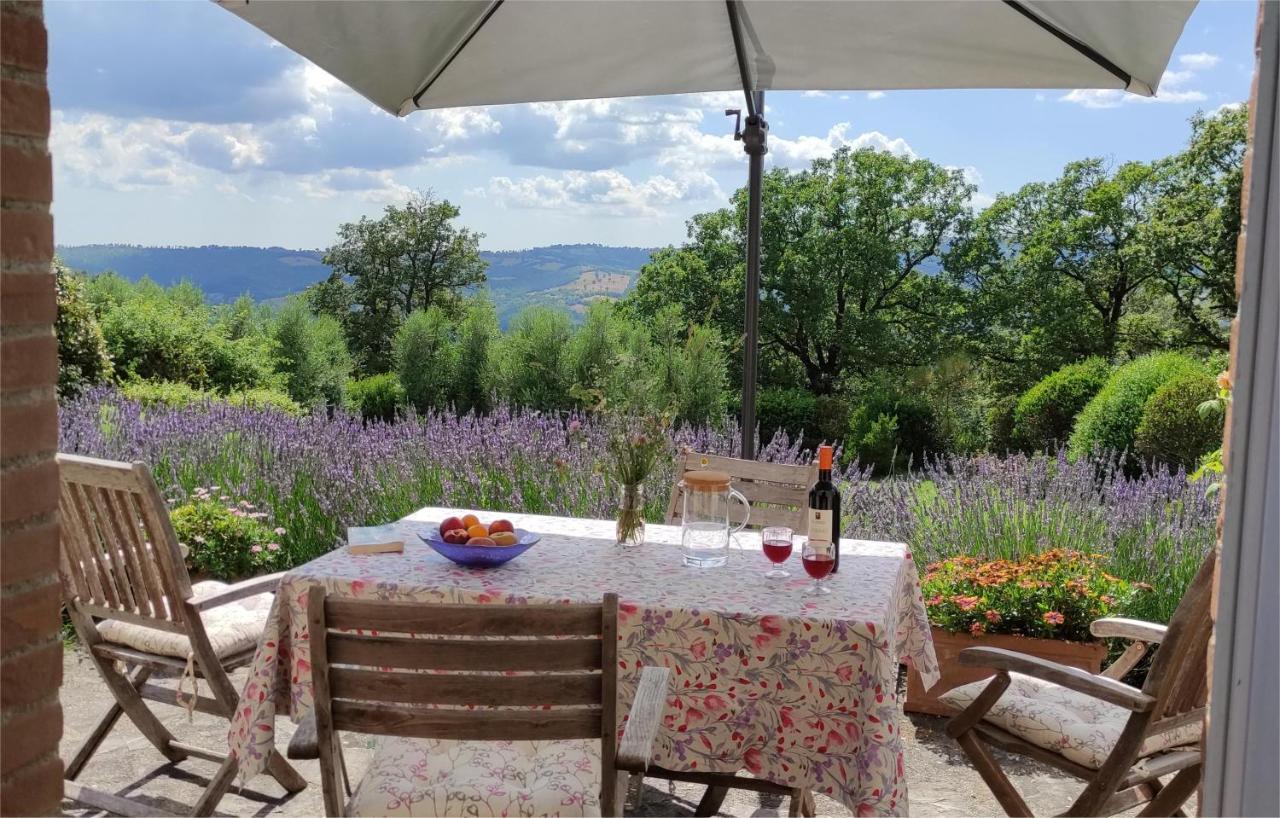 Podere Sant'Angelo Roccalbegna Екстериор снимка