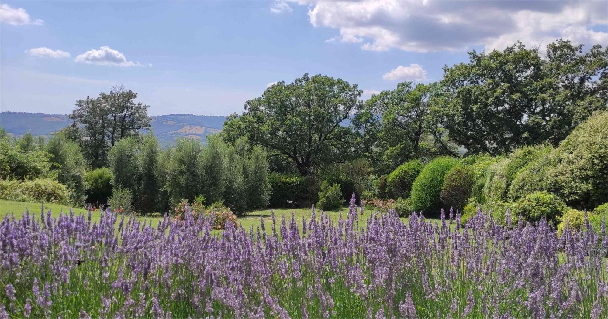 Podere Sant'Angelo Roccalbegna Екстериор снимка